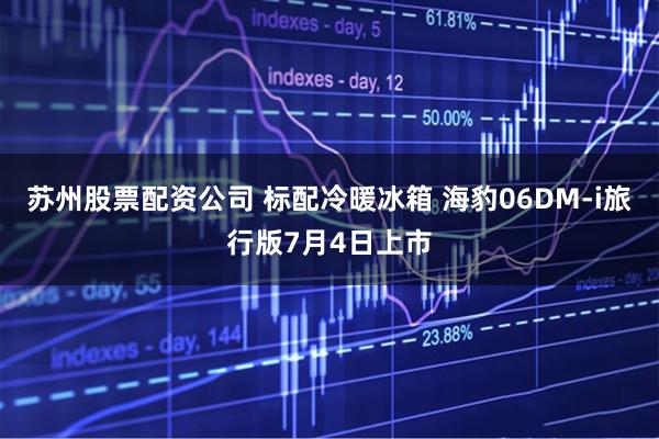 苏州股票配资公司 标配冷暖冰箱 海豹06DM-i旅行版7月4日上市