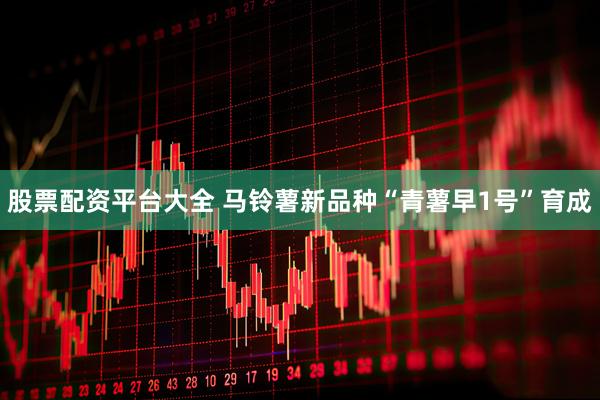 股票配资平台大全 马铃薯新品种“青薯早1号”育成