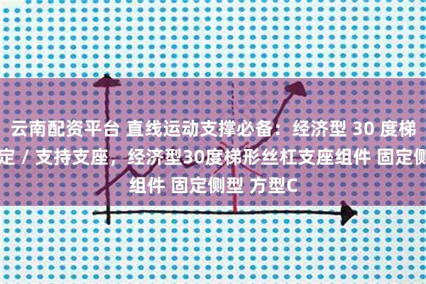 云南配资平台 直线运动支撑必备:经济型 30 度梯形丝杠固定 / 支持支座,经济型30度梯形丝杠支座组件 固定侧型 方型C